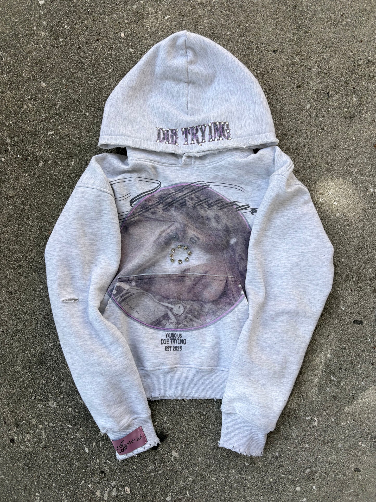 " Die Trying" hoodie