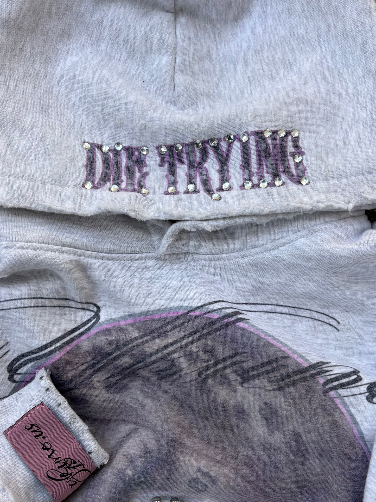 " Die Trying" hoodie